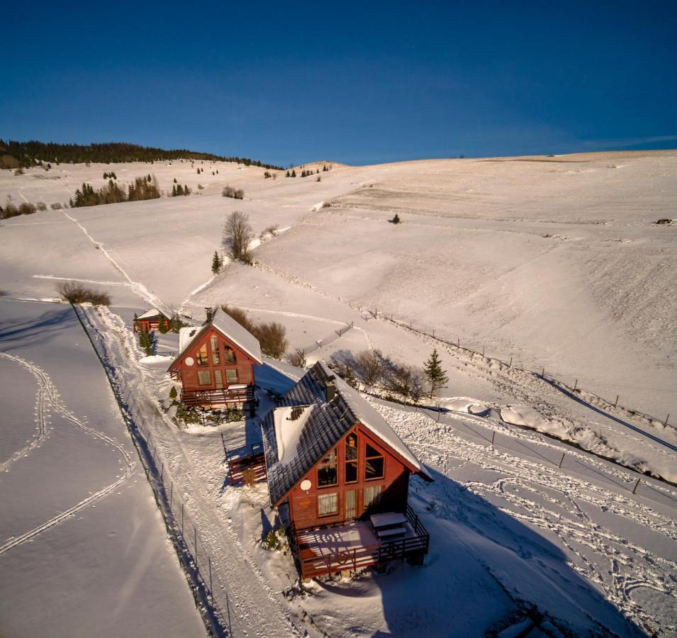 Winter & Summer - Chalets Zdiar Exterior photo